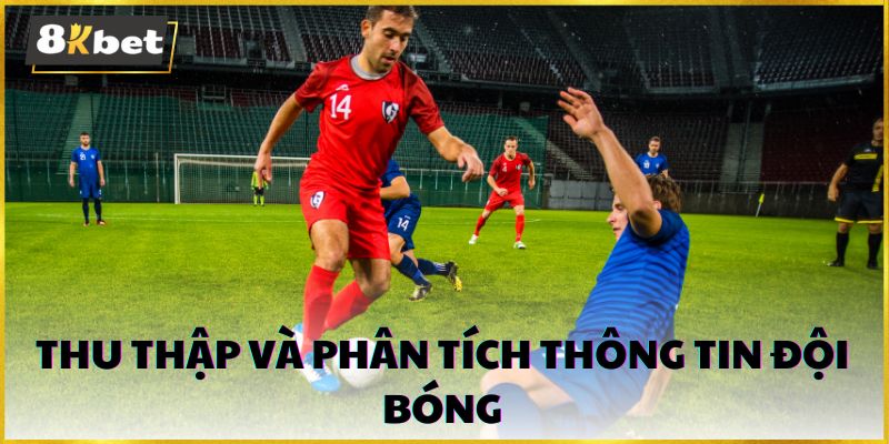 Để đưa đội bóng lên một tầm cao mới, việc thu thập và phân tích thông tin chi tiết và khoa học là vô cùng quan trọng