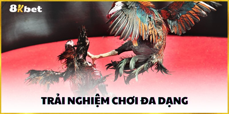 8kbet cung cấp trải nghiệm chơi đa dạng cho người tham gia